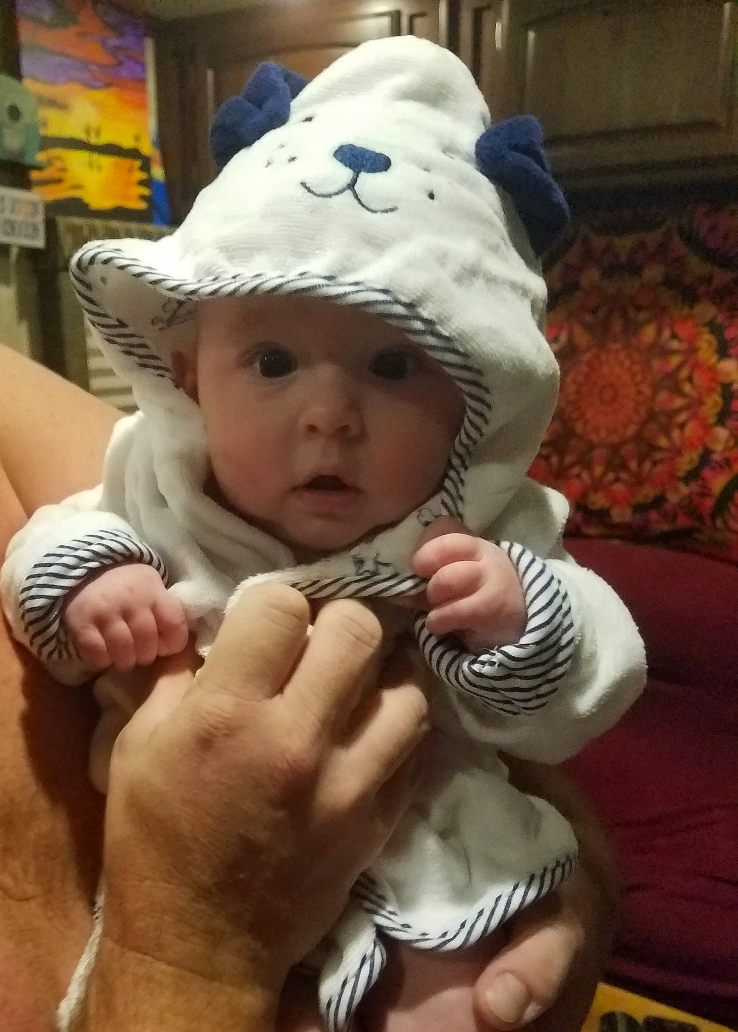 Gavin joined the competition — help win amazing prizes! baby, cap, child, hat, headwear, person, toddler