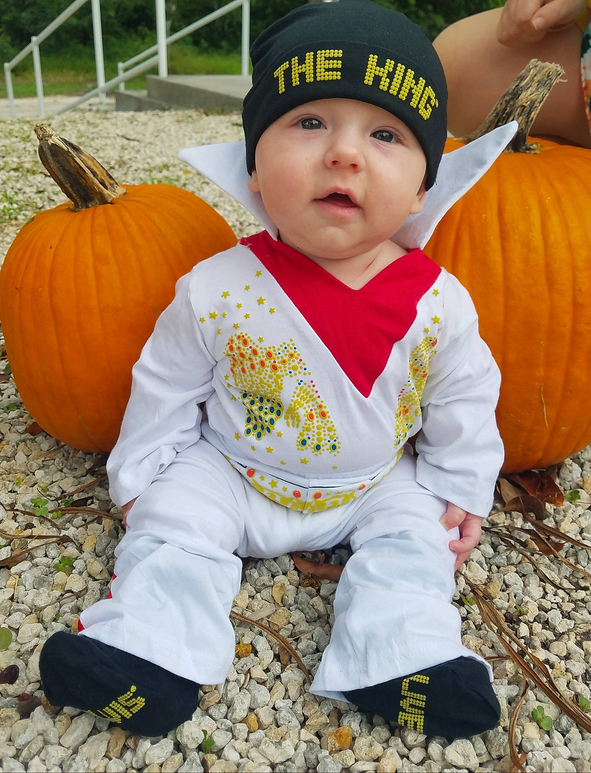 Gavin is registered to the contest to win money with this photo: autumn, baby, calabaza, child, costume, cucurbita, gourd, headwear, leaf, person, plant, pumpkin, squash, toddler, trick_or_treat, vegetable, winter_squash