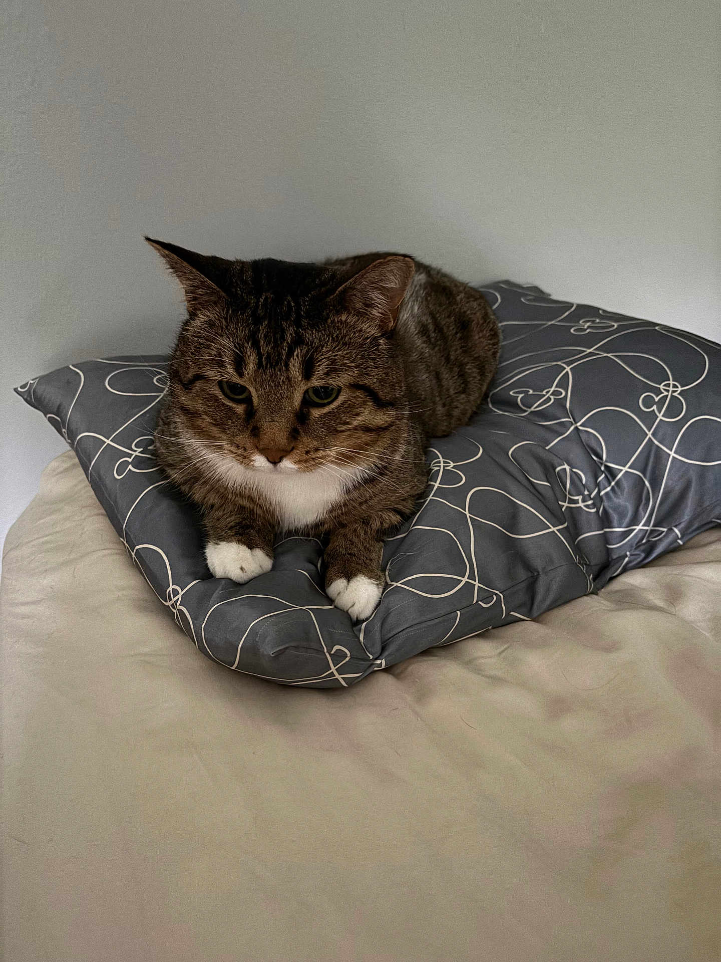 Benny
