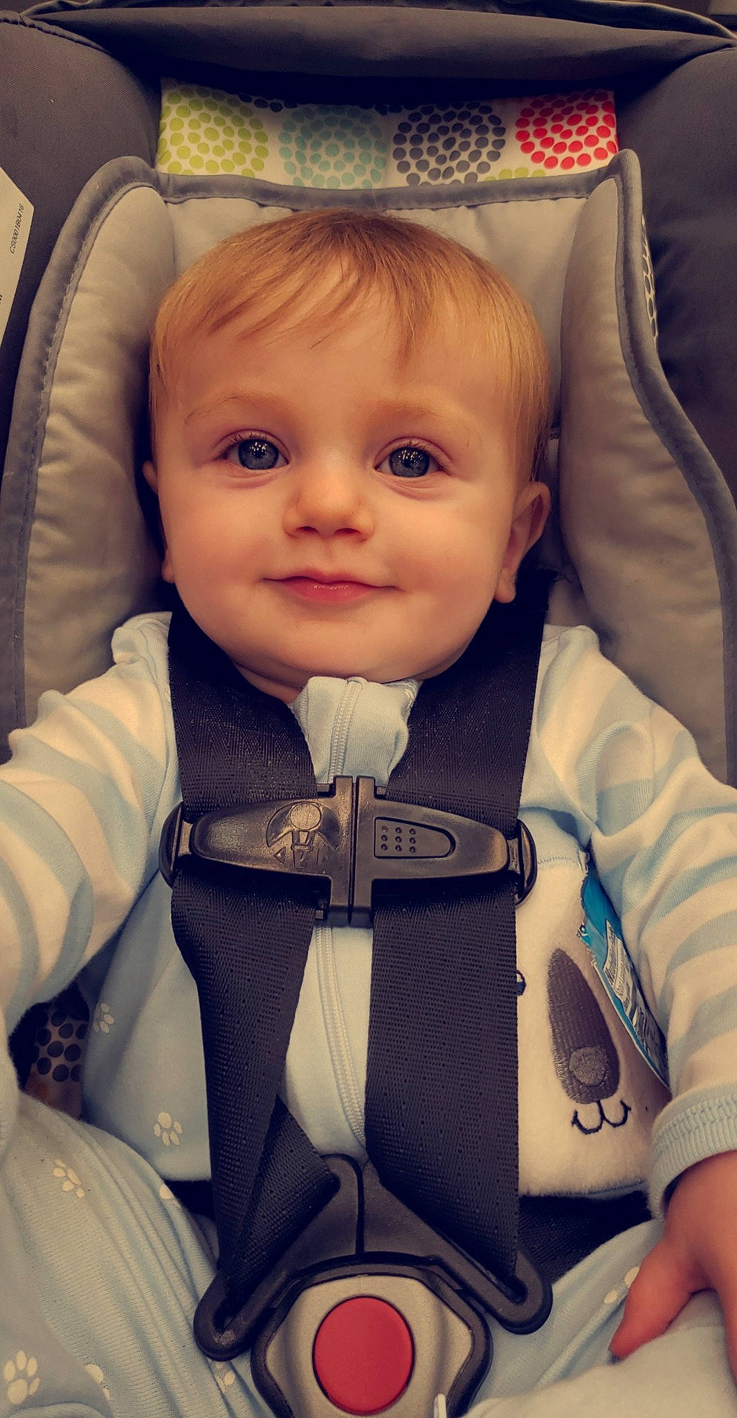 Niko is registered to the contest to win money with this photo: baby, baby_carriage, baby_in_car_seat, baby_products, car_seat, cheek, child, eye, face, head, iris, joy, lip, mouth, nose, outerwear, person, product, skin, smile