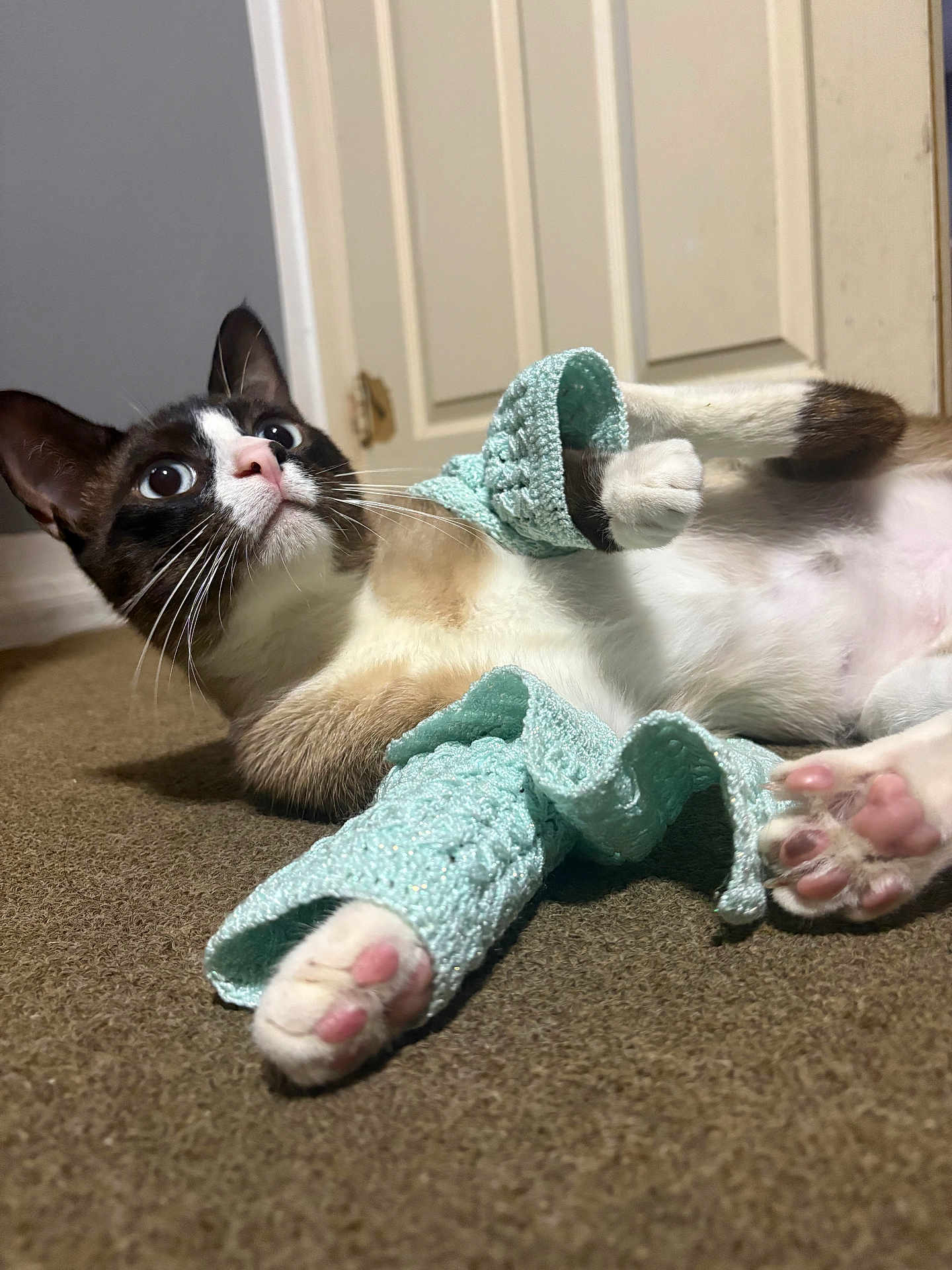 Coco