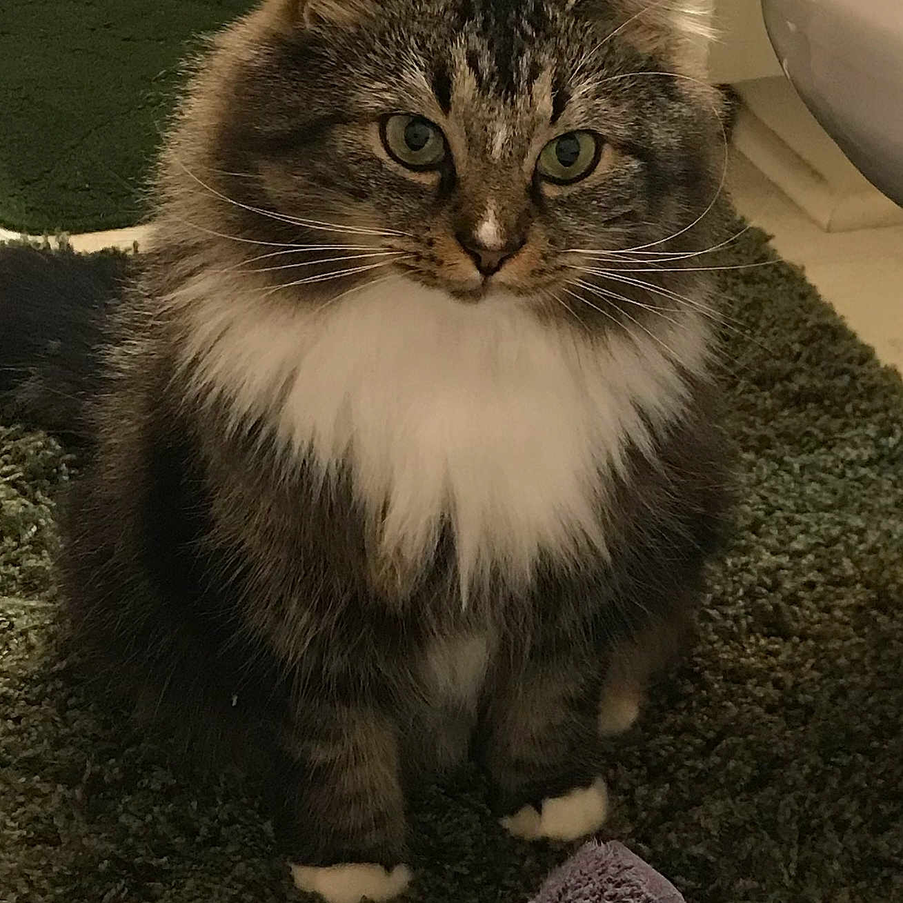 Otis