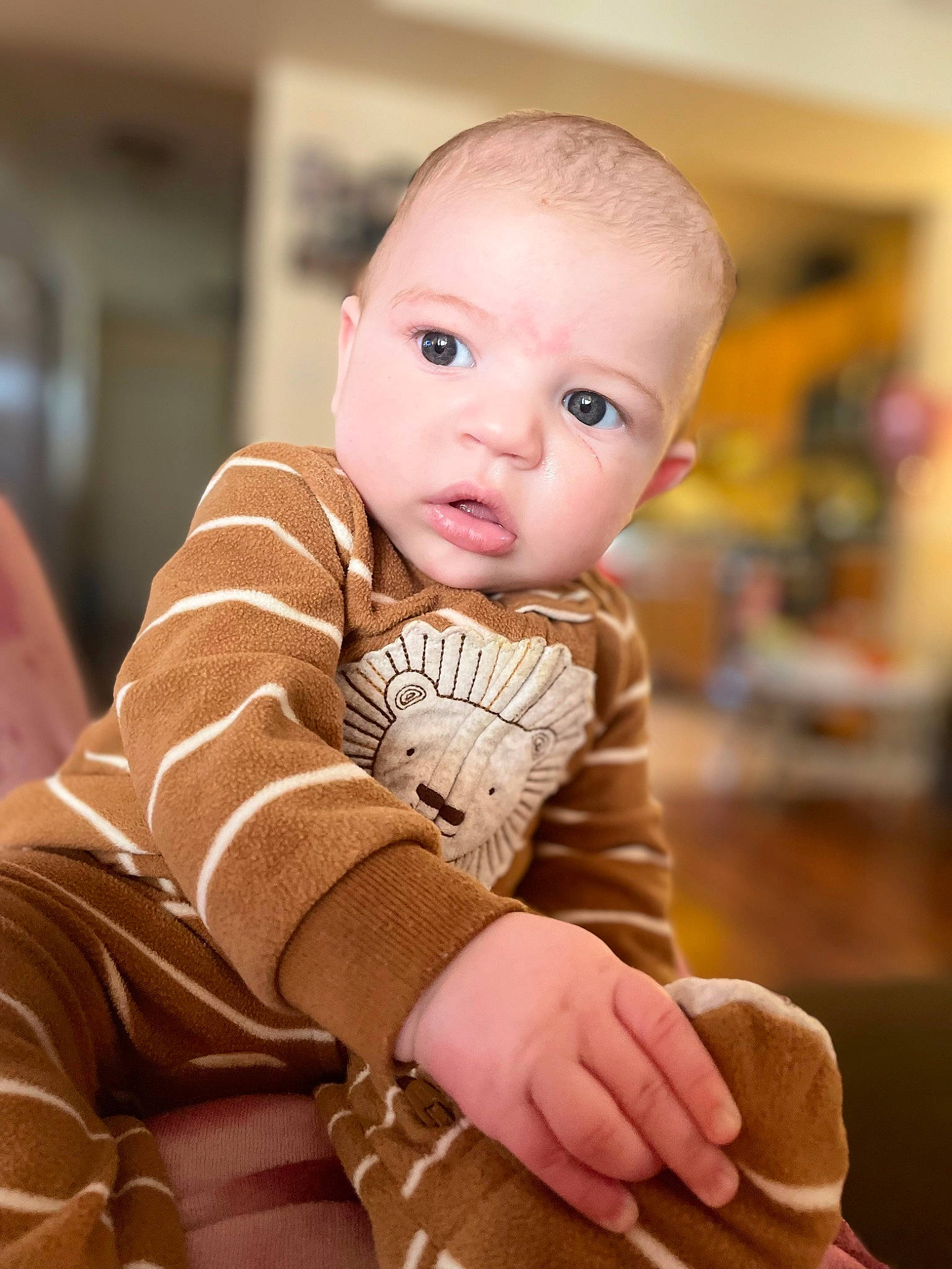 Mateo joined the competition — help win amazing prizes! baby, baby_toddler_clothing, cheek, child, chin, comfort, face, finger, flooring, fun, fur, happy, lip, nose, person, sitting, skin, sleeve, t_shirt, toddler