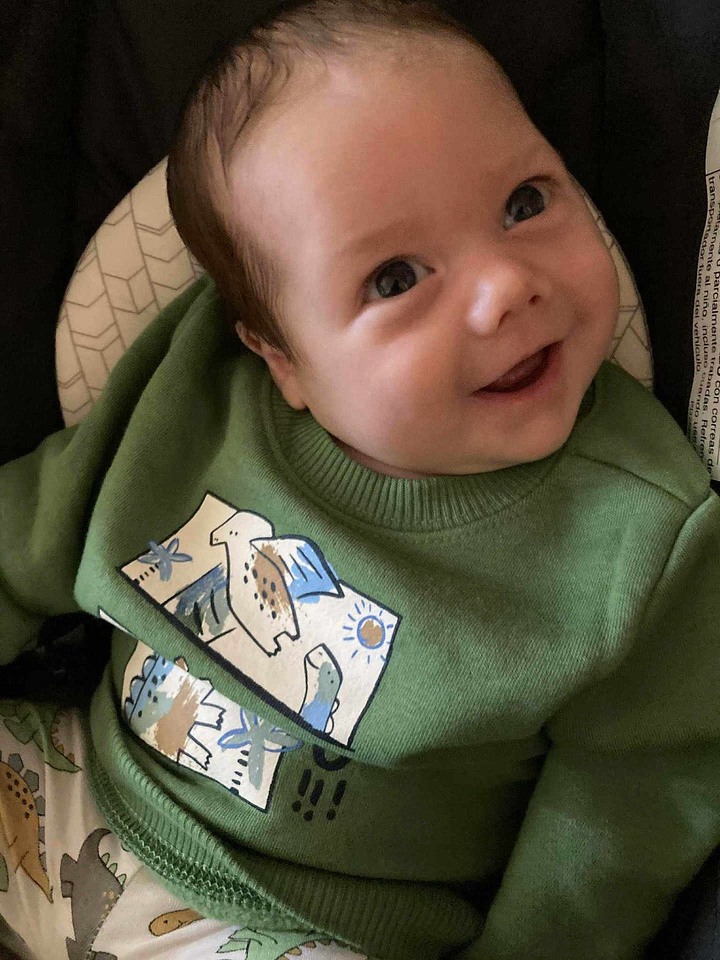 Bryson joined the competition — help win amazing prizes! baby, child, smiling, green_sweater, dinosaur_print, pants, cushioned_seat, face, eyes, infant, clothing, cute, happy, portrait, young_child, sitting, indoors, apparel, baby_fashion, closeup