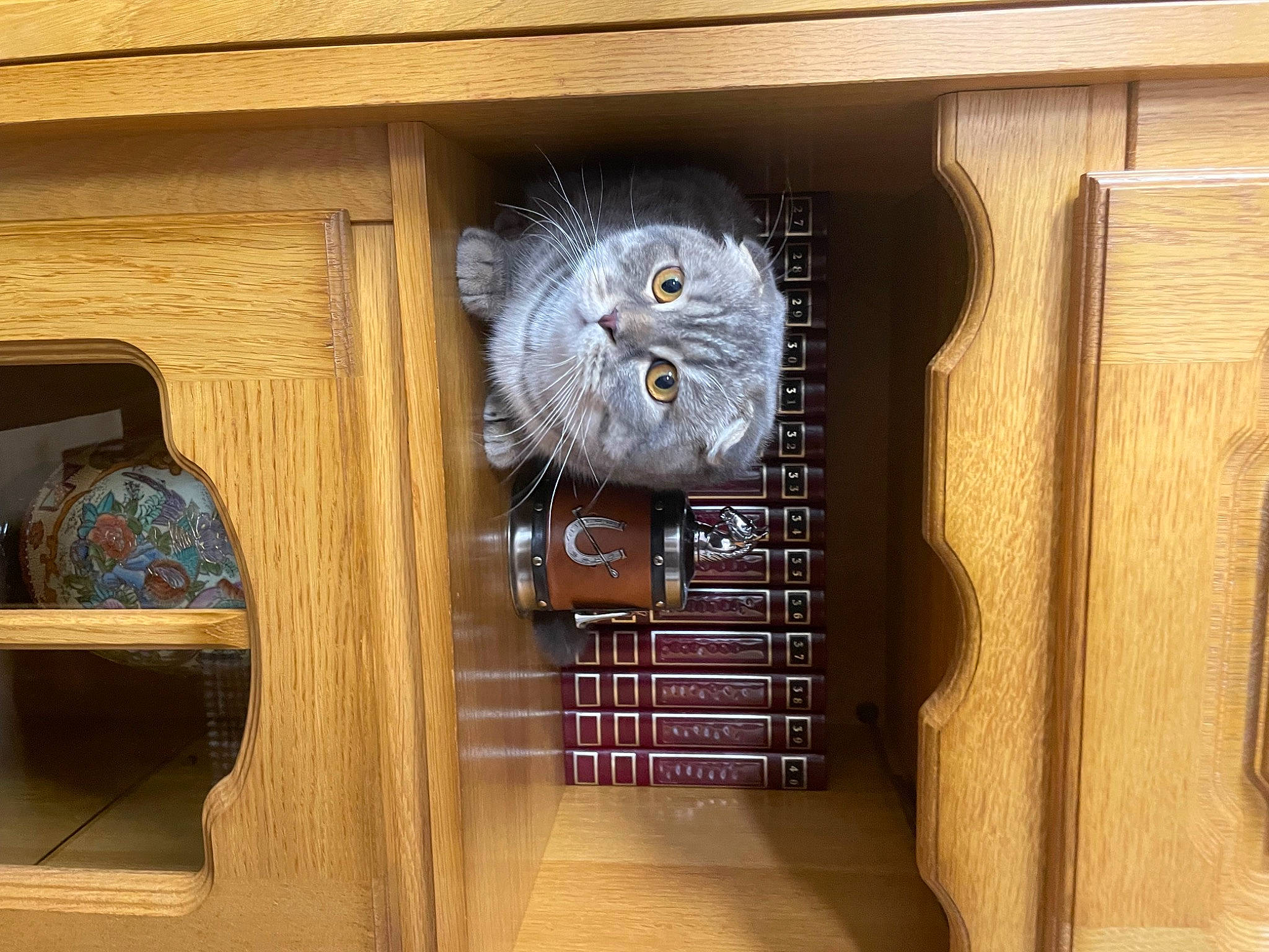 Tobby Junior participe au concours pour gagner de l'argent avec cette photo : art, bookcase, brown, cupboard, door, felidae, flooring, hardwood, home_door, pattern, plywood, rectangle, room, shelf, shelving, stairs, varnish, visual_arts, wood, wood_stain
