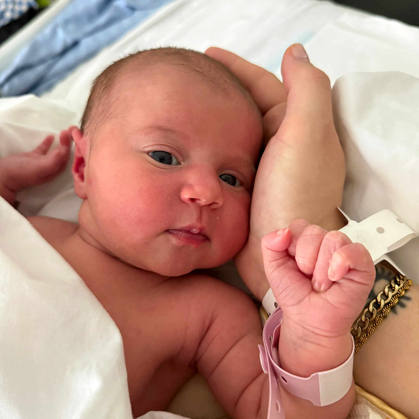 Liv a rejoint le concours — aidez-le/la à gagner de superbes lots ! baby, newborn, infant, hospital, wristband, hand, bracelet, blanket, skin, sleepy, portrait, closeup, person, resting, hospital_bed, comfort, care, cute, tender, family