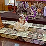 toddler, child, dress, lace, bonnet, church, altar, statue, angel_statue, steps, tile_floor, purple_cloth, flower, pottery, wooden_furniture, religious_decor, indoor, ceremony, young_child, smile
