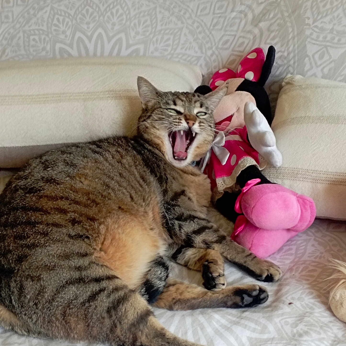 Zoé a rejoint le concours — aidez-le/la à gagner de superbes lots ! animal, bedspread, cat, cozy, cute, feline, indoor, minnie_mouse, patterned, pet, pillow, pink, plush_toy, relaxed, resting, sleepy, soft_toys, striped, tabby, yawning