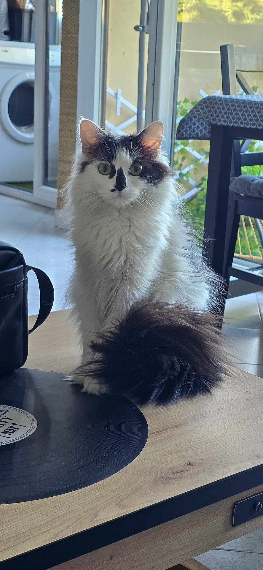 Missy