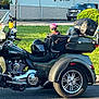 Jemma is registered to the contest to win money with this photo: adventure, black, chrome, dog, goggles, grass, greenery, harley_davidson, helmet, motorcycle, outdoor, parked, pink, road, sidecar, sunlight, tire, trike, vehicle, wheel