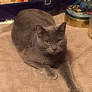 Smokey joined the competition — help win amazing prizes!