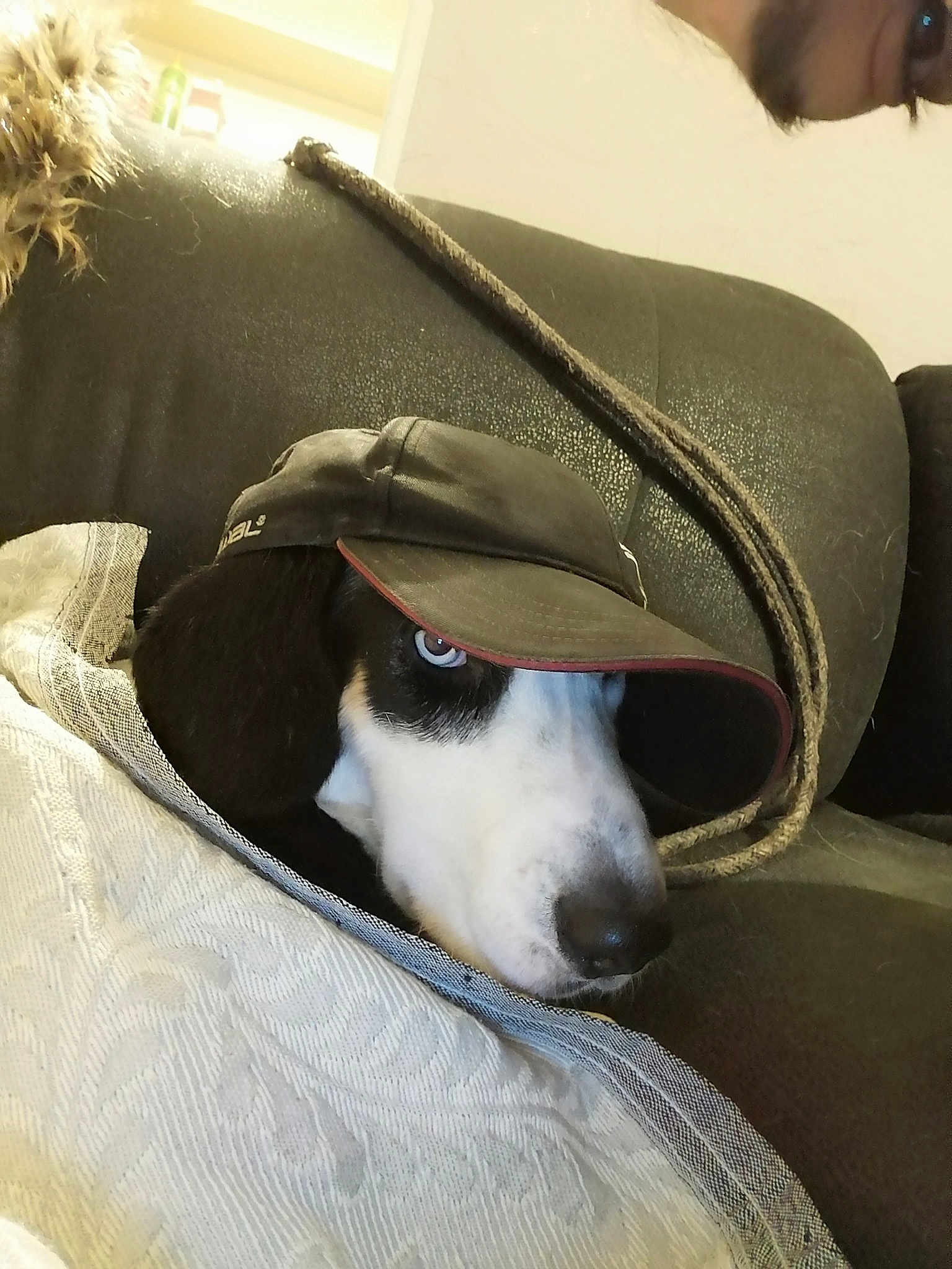 Maman Tempette