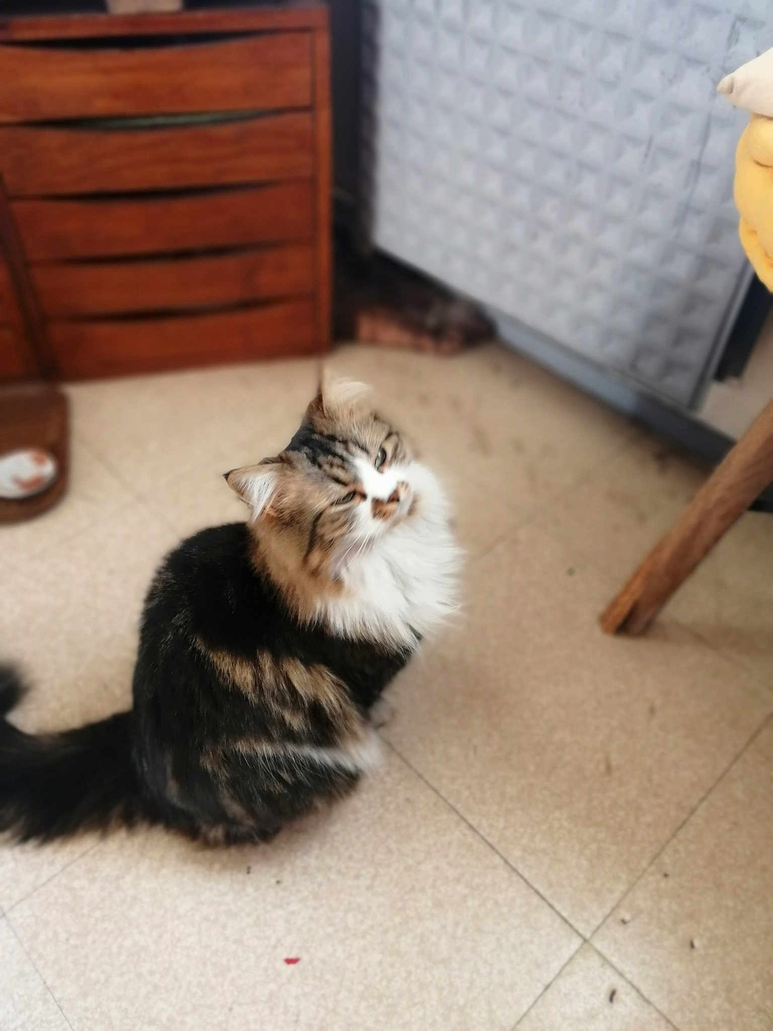 Minette