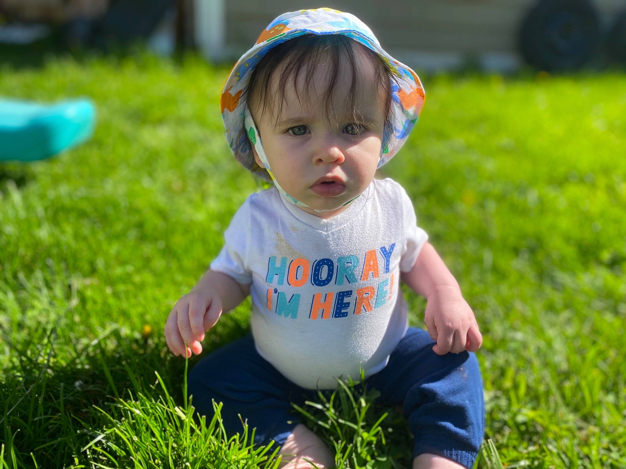 Sawyer is registered to the contest to win money with this photo: baby, baby_toddler_clothing, blue, fun, grass, grass_family, grassland, happy, jeans, leaf, leisure, meadow, people_in_nature, person, photograph, plant, skin, smile, sunlight, t_shirt