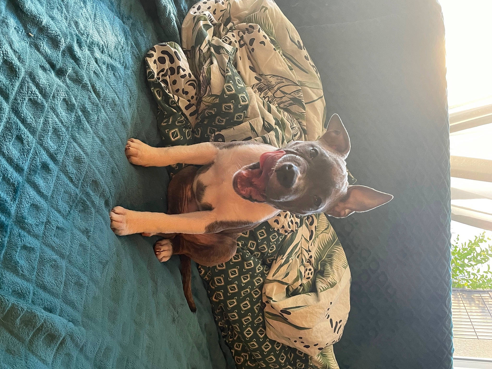 Skaya participe au concours pour gagner de l'argent avec cette photo : art, back, cool, elbow, eyewear, fashion_accessory, flesh, font, hand, human_leg, illustration, pattern, tattoo, temple, temporary_tattoo, tree, trunk, visual_arts, wing, wood