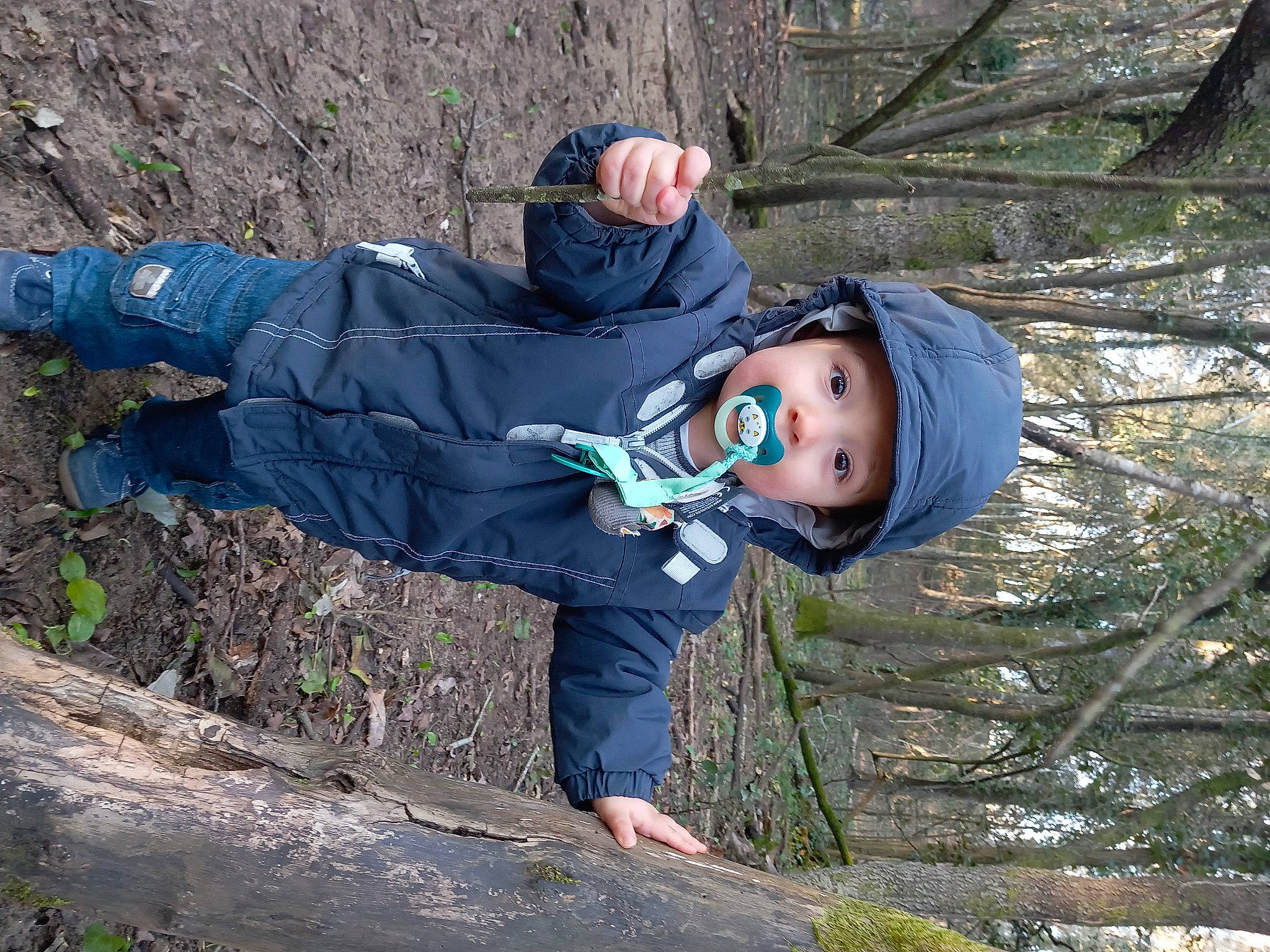 Ange a rejoint le concours — aidez-le/la à gagner de superbes lots ! adventure, electric_blue, forest, freezing, fun, glove, grass, hat, headwear, jacket, leisure, people_in_nature, person, personal_protective_equipment, plant, recreation, soil, tree, winter, wood