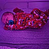 baby, bed, blanket, child, comfort, cozy, crib, cute, indoors, infant, one_person, pacifier, pajamas, purple_light, relaxation, resting, sleeping, sleepwear, soft, toddler