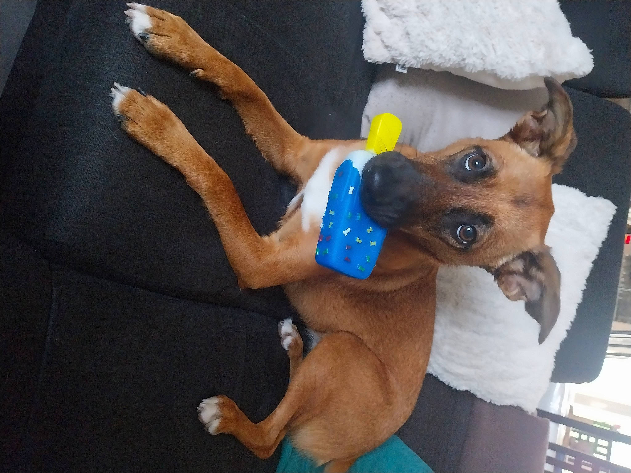 Louna
