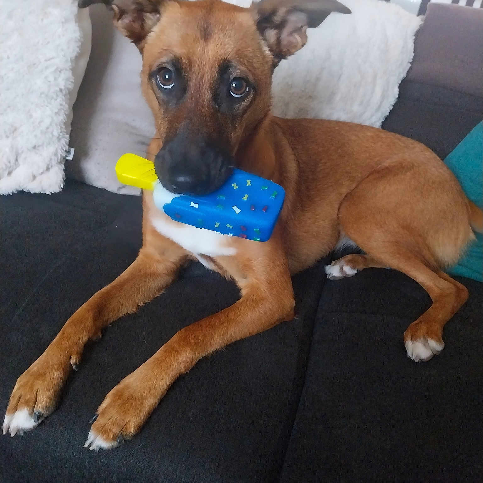 Louna