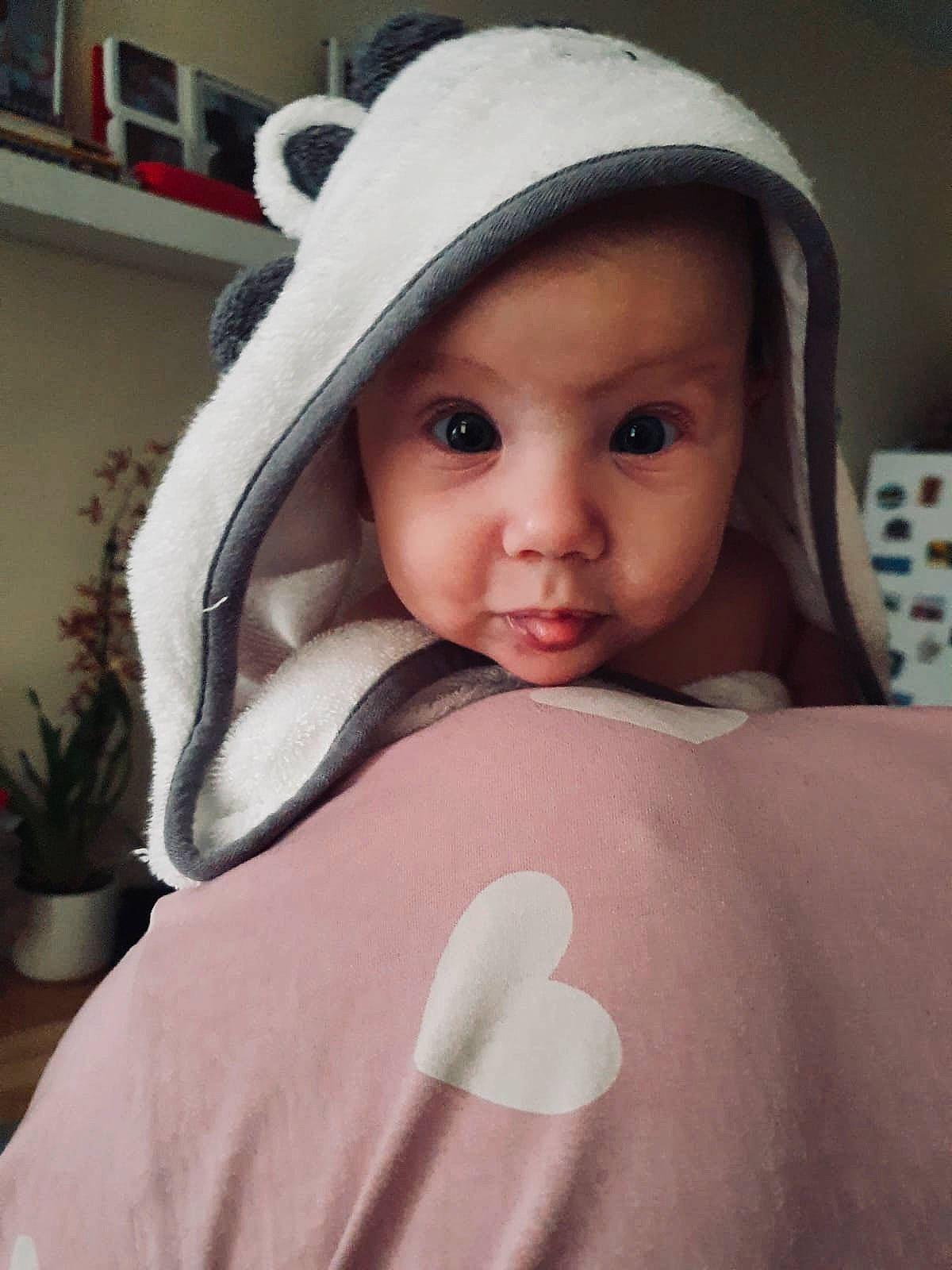 Aisha is registered to the contest to win money with this photo: baby, cap, cheek, comfort, eyebrow, eyelash, flowerpot, happy, headwear, houseplant, iris, lip, mouth, neck, person, plant, skin, sleeve, smile, t_shirt