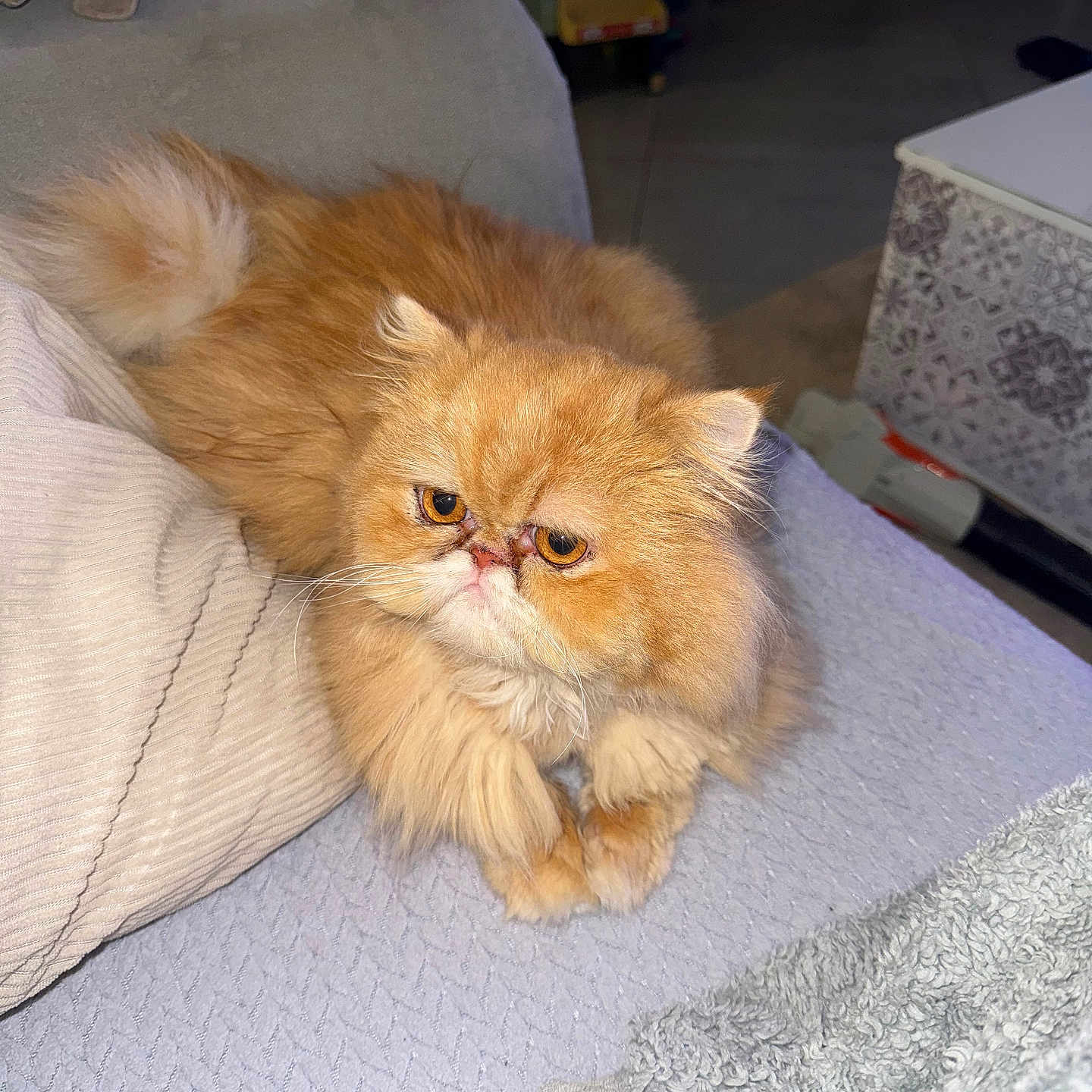 Yuki