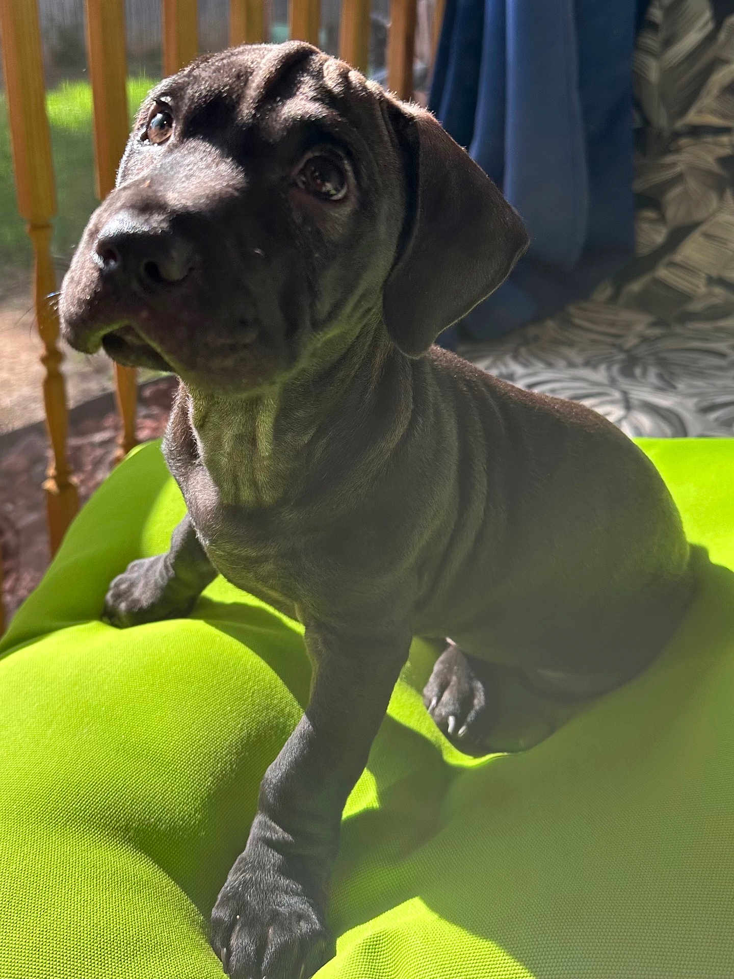 Max