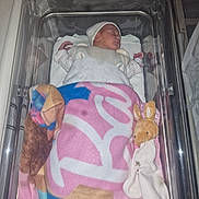 Lucy a rejoint le concours — aidez-le/la à gagner de superbes lots ! newborn, baby, bassinet, hospital, blanket, plush_toy, sleeping, infant, bed, person, clothing, hat, soft_toy, cute, peaceful, pink, blue, white, resting, new_life