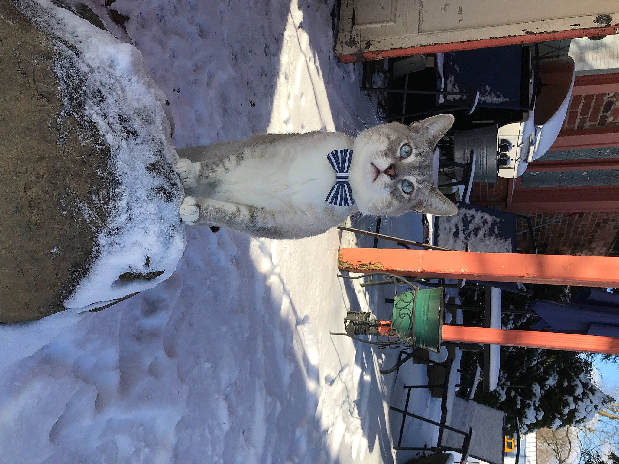 Günther is registered to the contest to win money with this photo: boat, concrete, freezing, gas, slope, snow, vehicle, water, winter