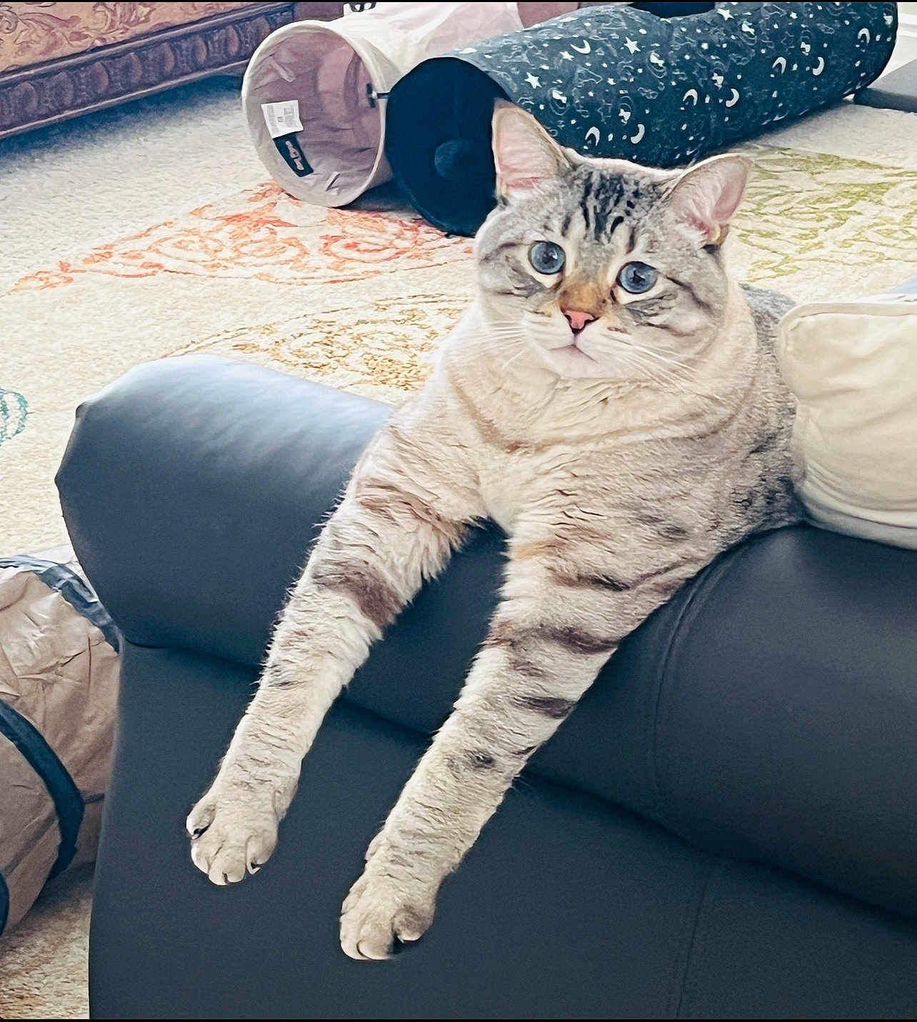 Finn