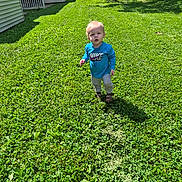 Owen Swartz is registered to the contest to win money with this photo: toddler, child, grass, outdoor, greenery, sunlight, shadow, nike_shirt, pants, sandals, tree, house, yard, curious, young_child, nature, daytime, lawn, person, portrait