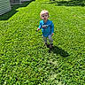 toddler, child, grass, outdoor, greenery, sunlight, shadow, nike_shirt, pants, sandals, tree, house, yard, curious, young_child, nature, daytime, lawn, person, portrait