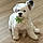 Cooper