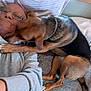 Brook And Roxy joined the competition — help win amazing prizes! dog, person, glasses, bed, pillow, blanket, indoor, affection, pet, canine, casual, smile, love, resting, cozy, human, animal, companion, nuzzle, gray_hoodie