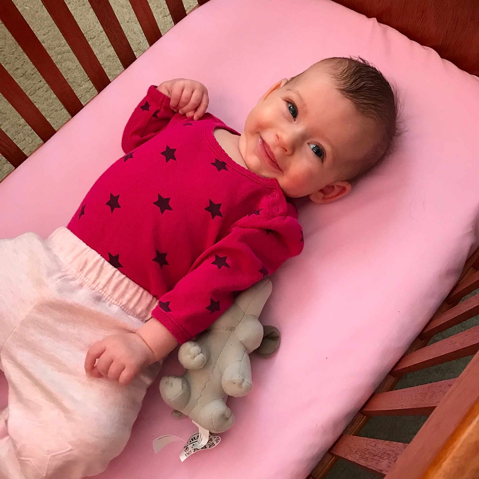 Dianna joined the competition — help win amazing prizes! baby_products, beauty, bed, bedtime, cheek, child, girl, infant, infant_bed, person, pink, product, skin, smile, stuffed_toy, textile, toddler