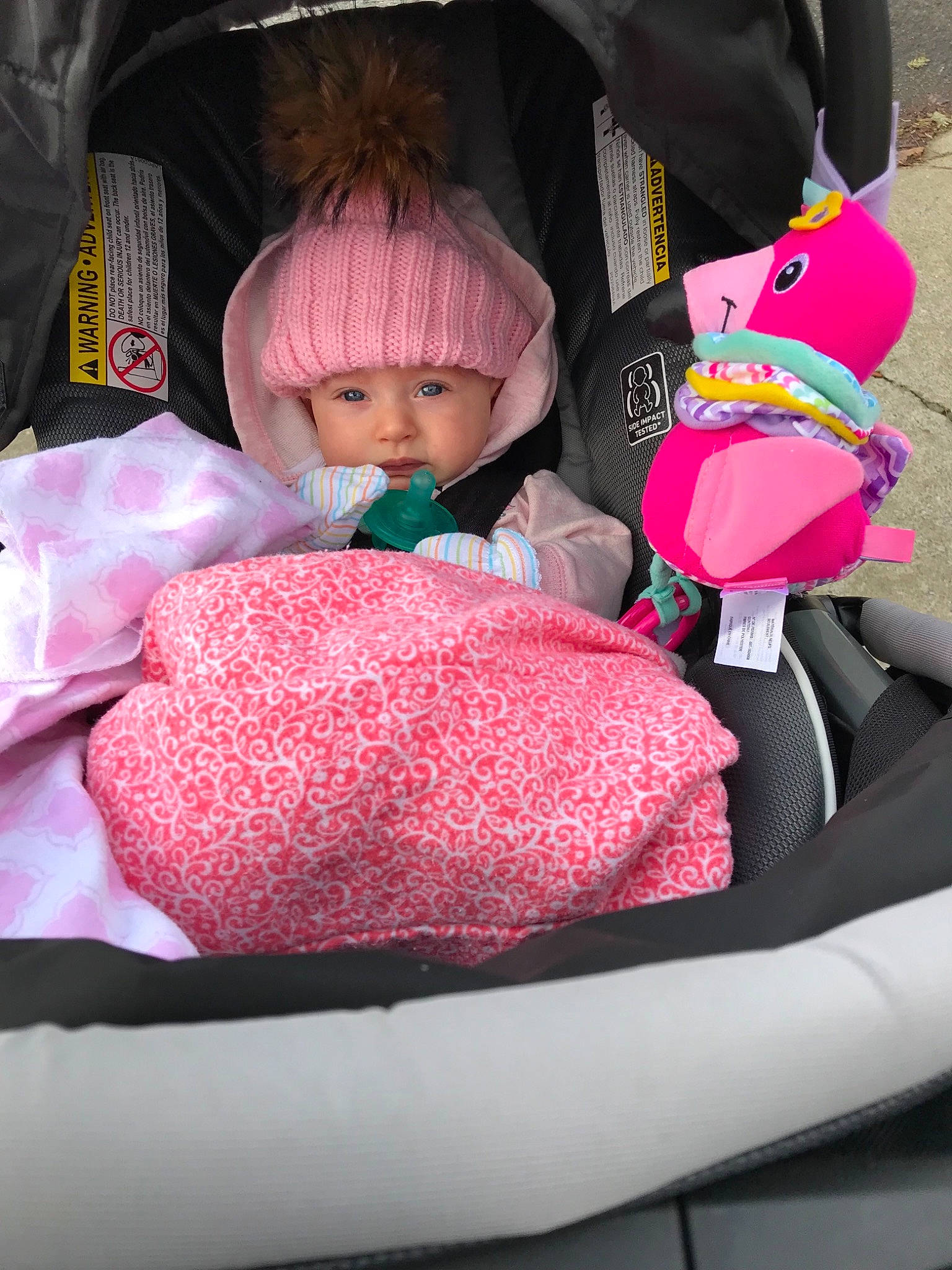 Dianna joined the competition — help win amazing prizes! car_seat, child, doll, girl, person, pink, product, textile, toddler, toy