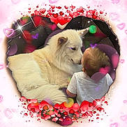 Princess is registered to the contest to win money with this photo: baby, dog, white_dog, fluffy_dog, couch, heart_frame, pink_background, sparkles, love_hearts, child, friendship, affection, indoor, cute, animal, pet, toddler, cozy, interaction, portrait