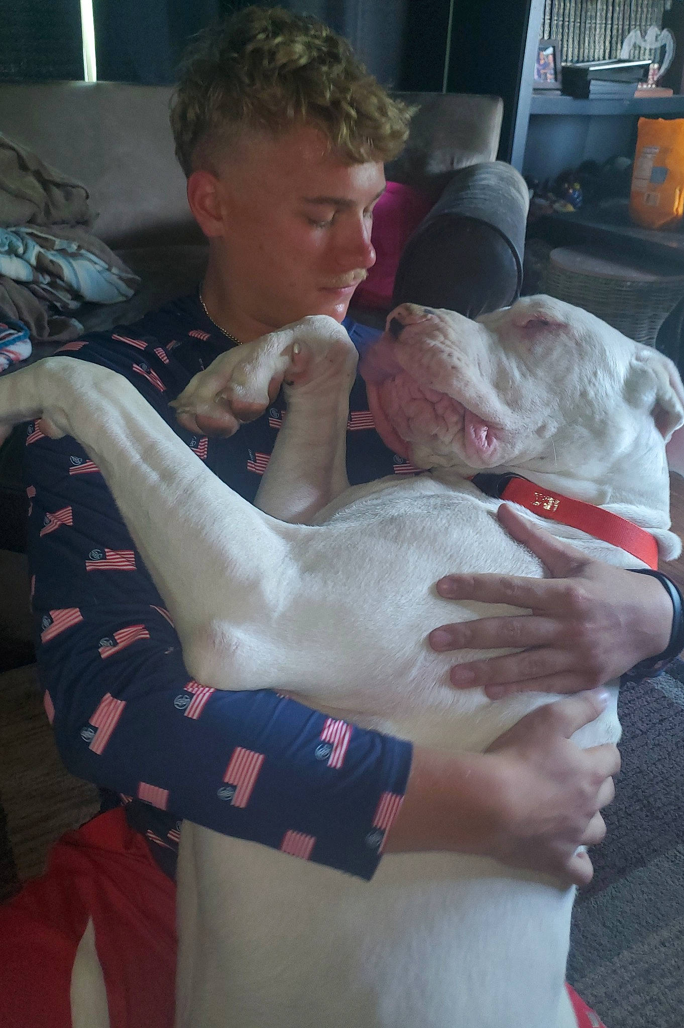 Hoss joined the competition — help win amazing prizes! abdomen, arm, barechested, carnivore, chest, comfort, companion_dog, dog, dog_breed, elbow, fawn, felidae, gesture, hand, head, knee, lap, t_shirt, trunk, wrist