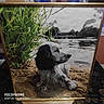 Gaston a rejoint le concours — aidez-le/la à gagner de superbes lots ! painting, dog, water, greenery, frame, art, landscape, nature, canvas, brush_strokes, abstract, waterbody, leaves, grass, portrait, animal_art, table, indoor, photograph, pocophone