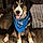 Jax