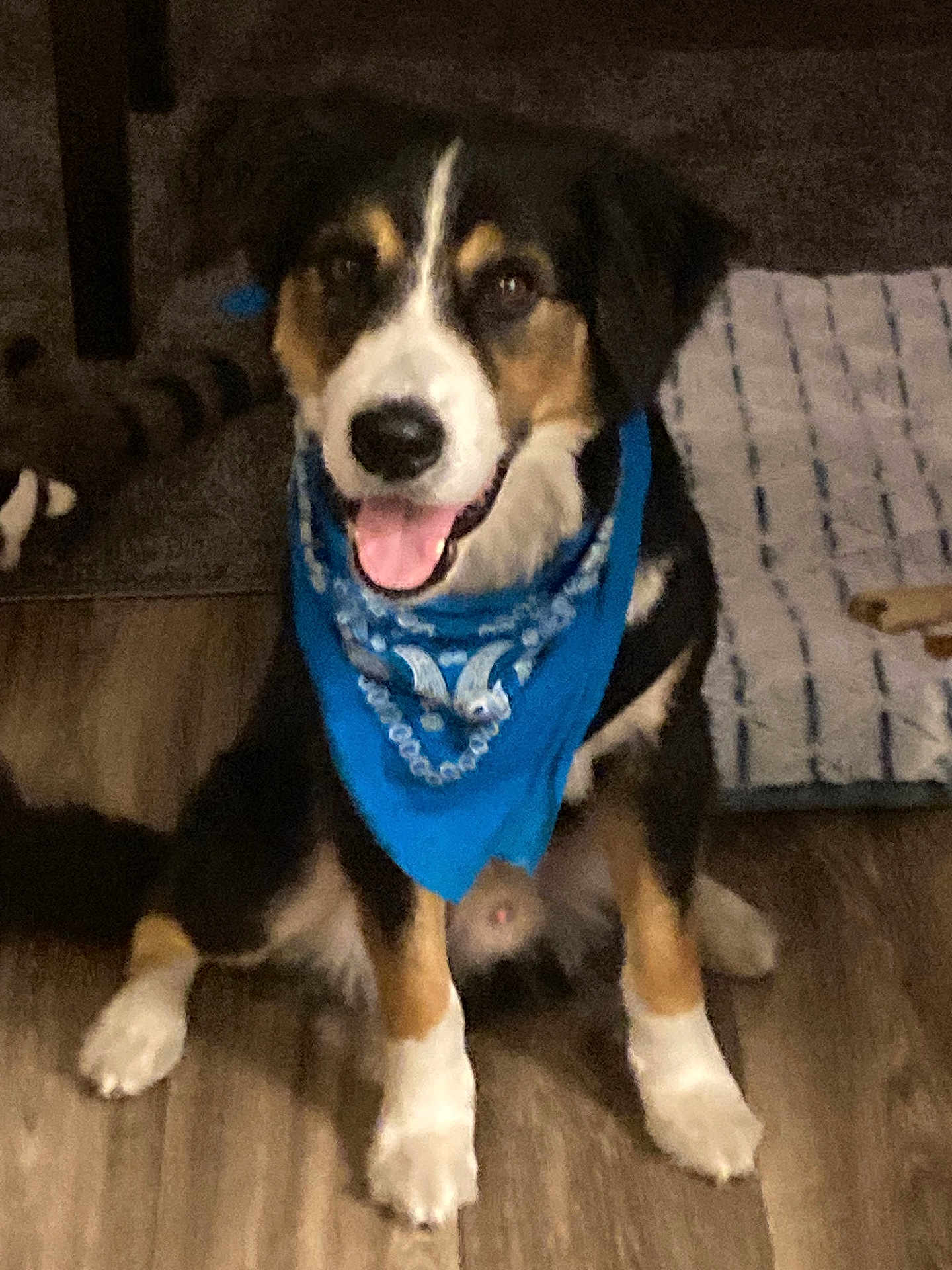 Jax
