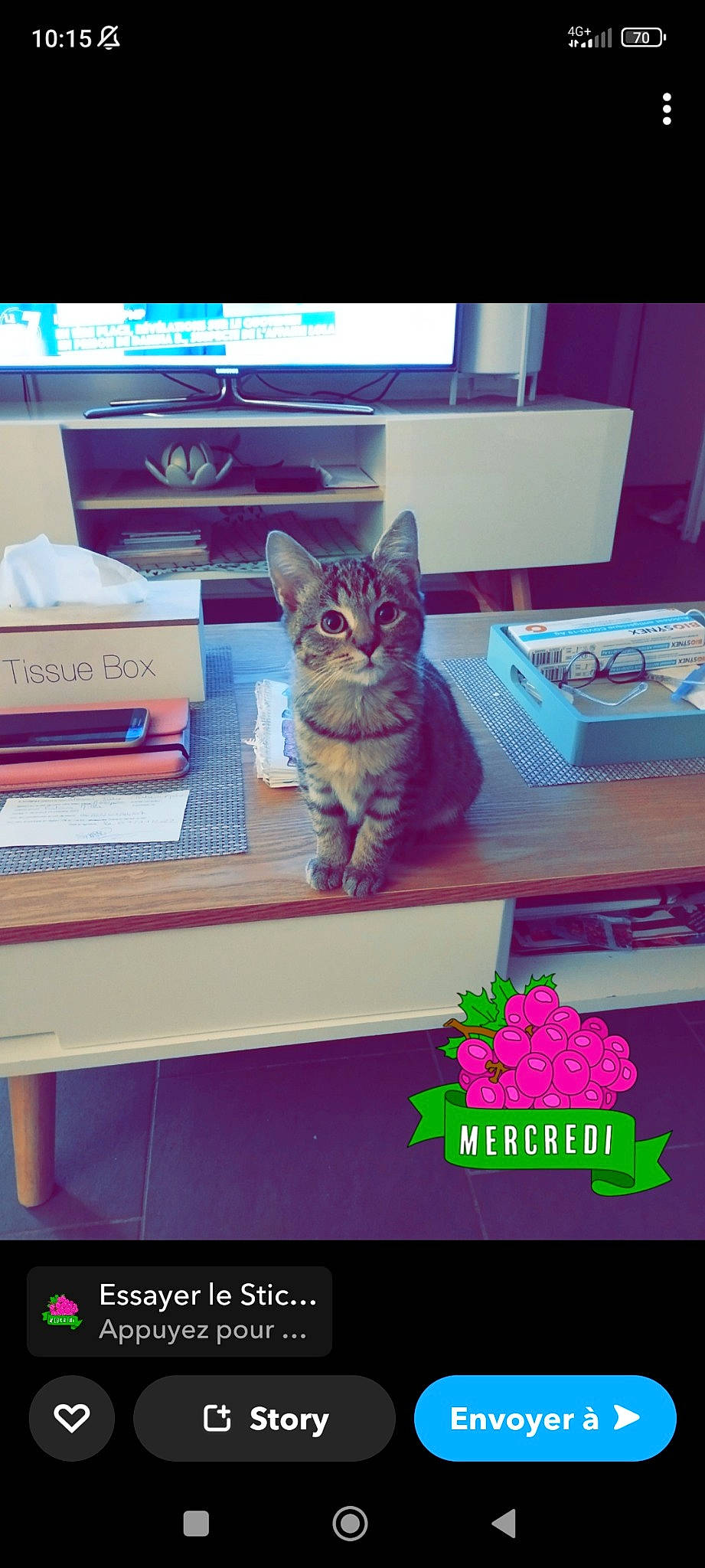 Irish participe au concours pour gagner de l'argent avec cette photo : box, carnivore, cat, display_device, domestic_short_haired_cat, electronic_device, felidae, font, fur, magenta, photo_caption, publication, rectangle, room, shelf, sky, small_to_medium_sized_cats, square, table, whiskers