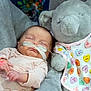 baby, sleeping, nasal_cannula, infant, plush_toy, elephant, bib, onesie, hand, person, hospital, medical_tube, soft_toy, cute, peaceful, indoors, care, child, newborn, resting