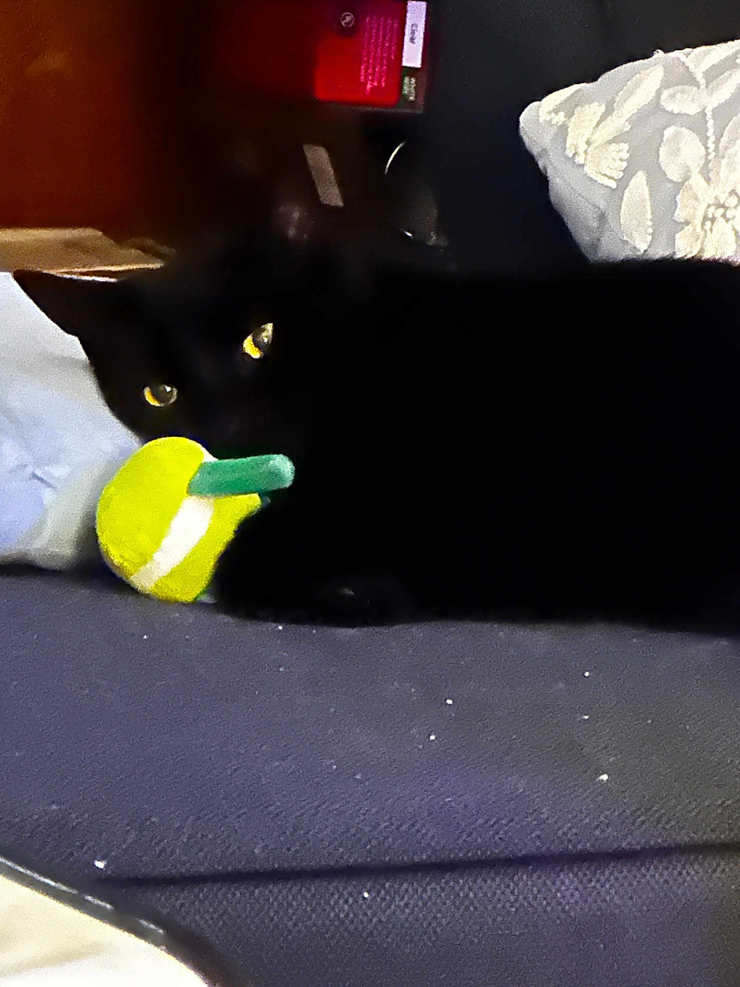 Tickles joined the competition — help win amazing prizes! animal, black_cat, cat, close_up, couch, cozy, curious, dark, domestic_animal, fabric, feline, furniture, household, indoor, pet, playful, resting, toy, yellow_eyes, yellow_green_toy