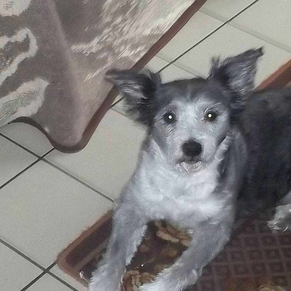 Roméo