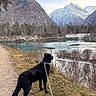 Orsu participe au concours pour gagner de l'argent avec cette photo : dog, black_dog, leash, mountains, lake, water, trees, grass, path, nature, outdoor, winter, snow, sky, hiking, scenic, animal, landscape, reflection, canine