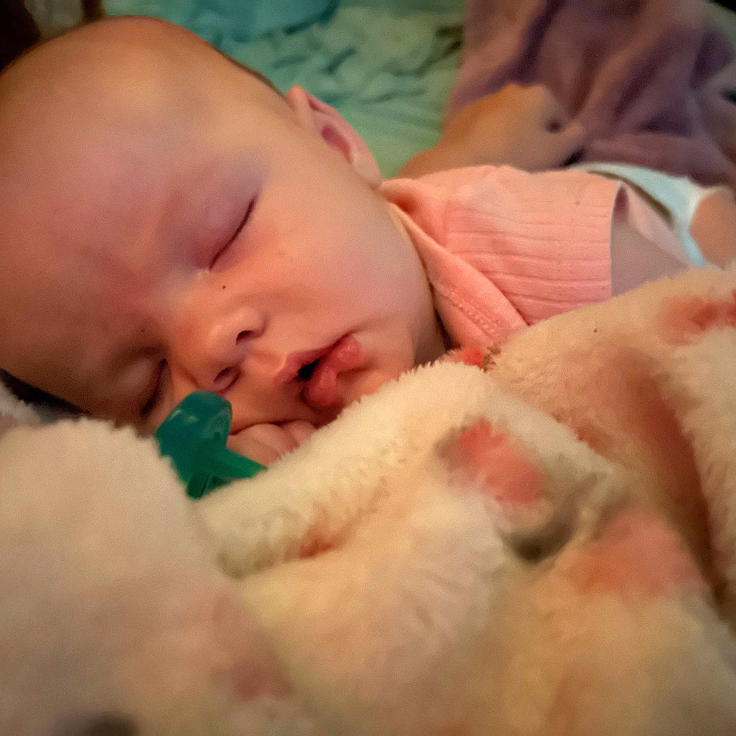 Winter is registered to the contest to win money with this photo: newborn, baby, sleeping, infant, portrait, face, pacifier, stuffed_animal, plush_toy, blanket, bed, pink_clothing, cozy, indoors, close_up, peaceful, resting, soft, nursery, cuddly