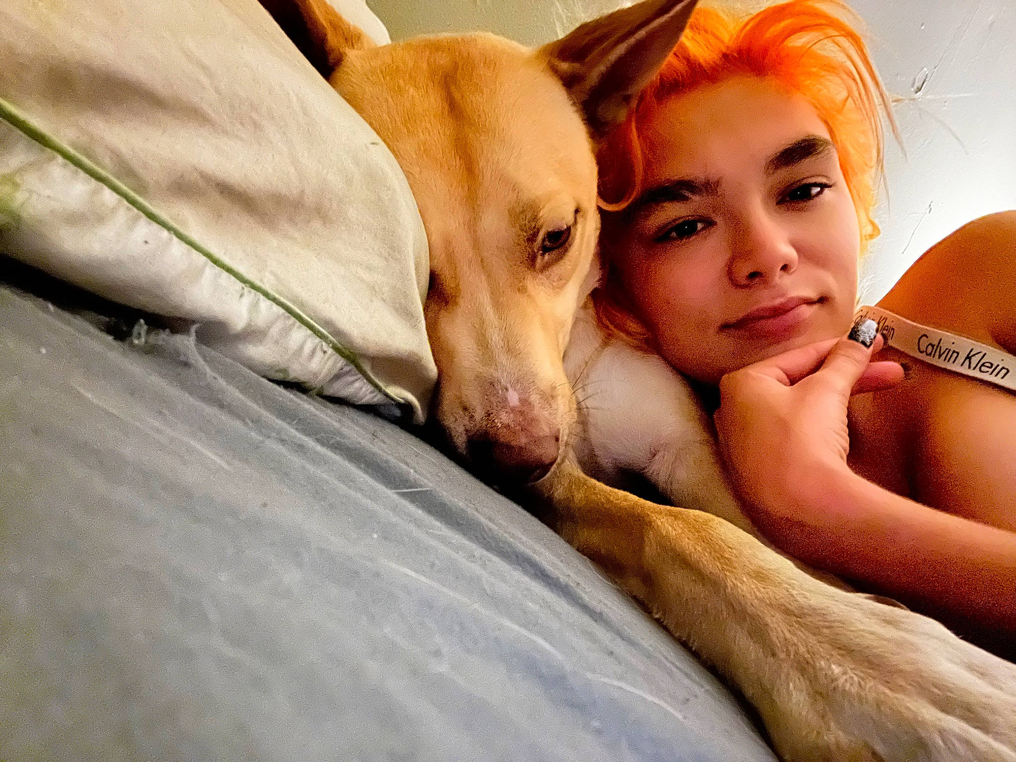 Luna Aleah Marie is registered to the contest to win money with this photo: bed, canidae, carnivore, child, comfort, companion_dog, dog, dog_breed, ear, fawn, flash_photography, fun, fur, happy, human_leg, linens, nose, sitting, sporting_group, whiskers