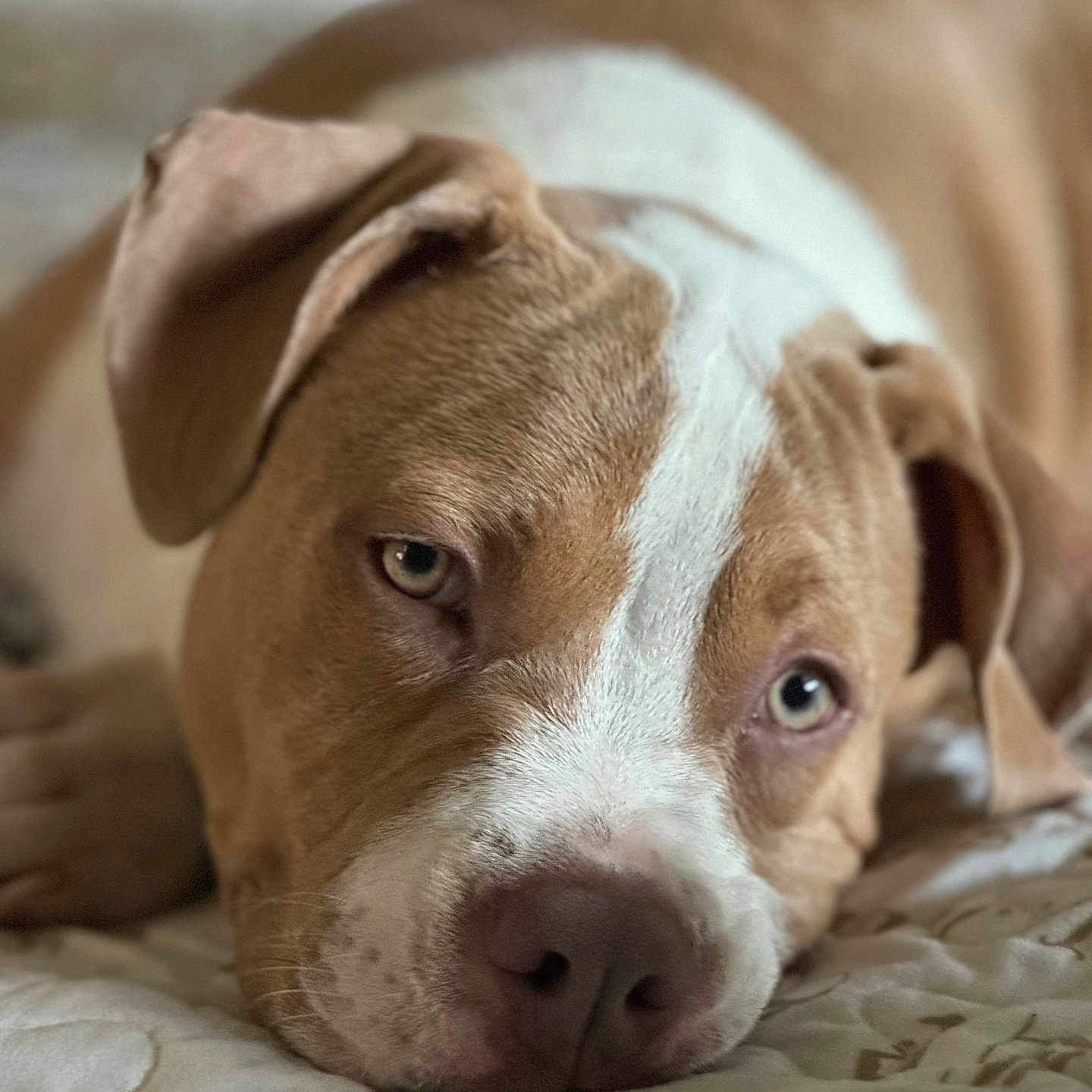 Minnie