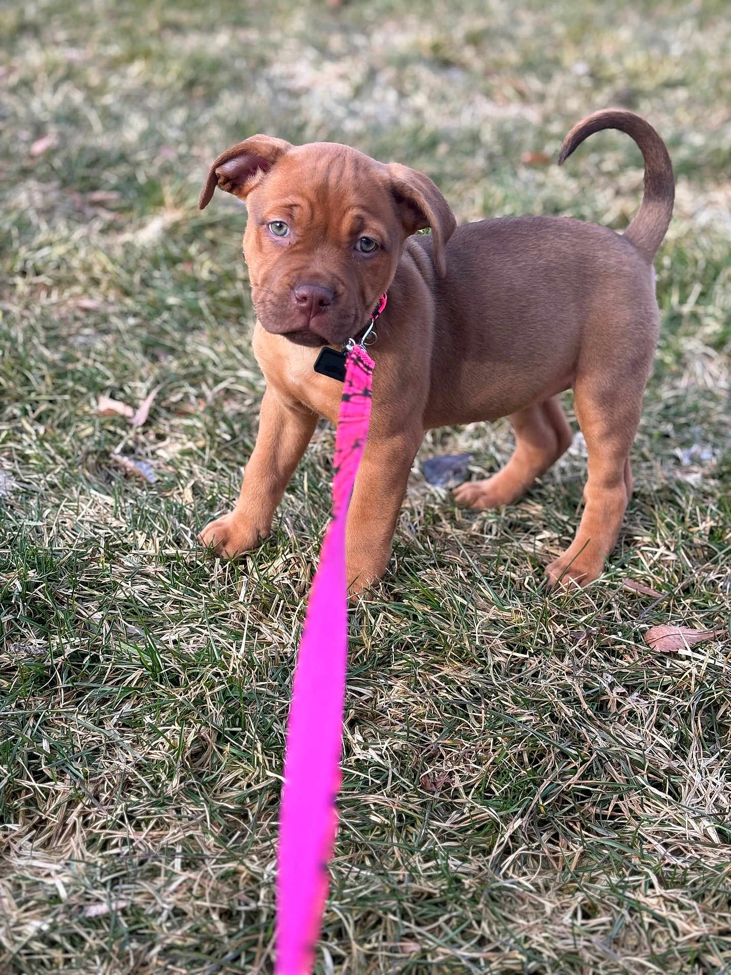Luna