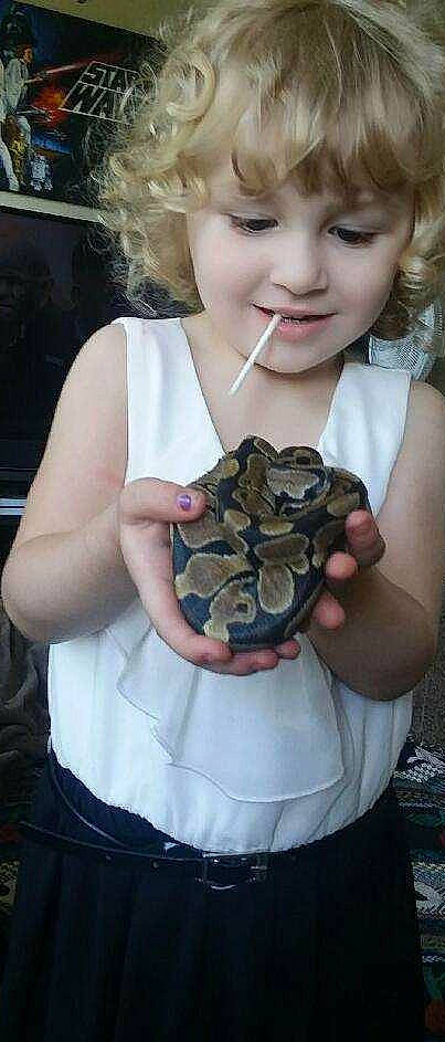 Annabeth is registered to the contest to win money with this photo: boa, boa_constrictor, burmese_python, joy, person, python, python_family, reptile, scaled_reptile, snake